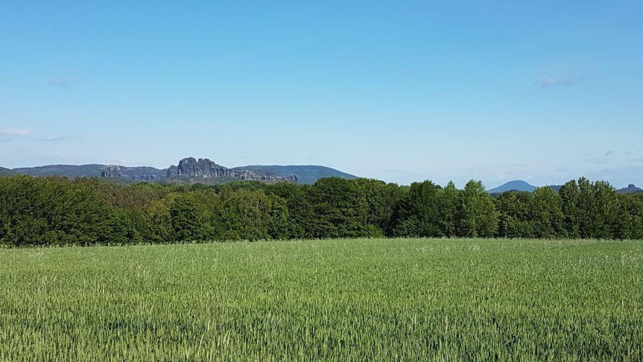 Pension Zaukeneck Bad Schandau Eksteriør billede